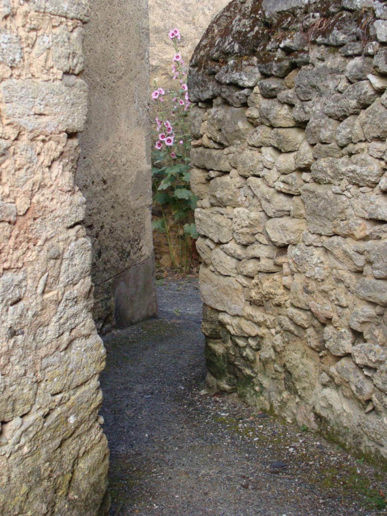 Gite Cote Ruelle Martigne-Briand Exterior photo
